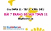 Giải bài 7 trang 80 Toán 11 tập 1 SGK Cánh Diều